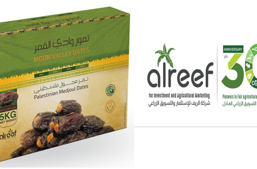 شركة ريفت فالي